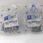 فنر سوپاپ XUM اصلی - تصویر 2